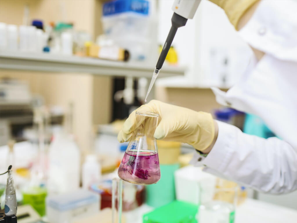 A doctor reviewing patient charts on a tablet